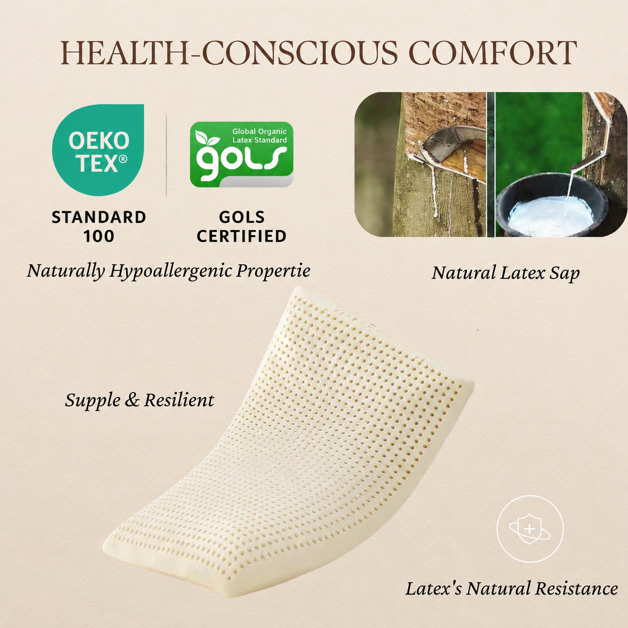 WILNARA 100% Natural Talalay Latex Pillow